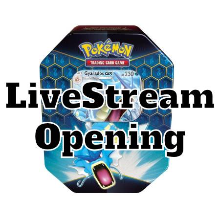 Hidden Fates Gyarados GX Tin
